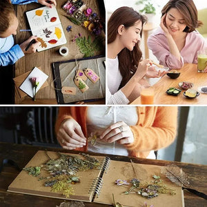 Top 100% Natural Dried Cordyceps Flower For Beauty Soap Bathing Perfume Making For Sachet Pillow Filling China Yunnan Cordyceps