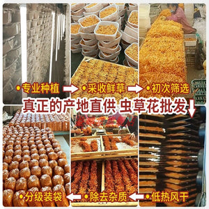 Top 100% Natural Dried Cordyceps Flower For Beauty Soap Bathing Perfume Making For Sachet Pillow Filling China Yunnan Cordyceps