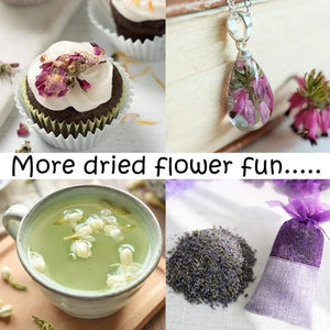Fragrant Natural Calendula Dried Flower For Sachet Pillow Filling Organic Marigold Petal For Beauty Bathing Soap Candle Making